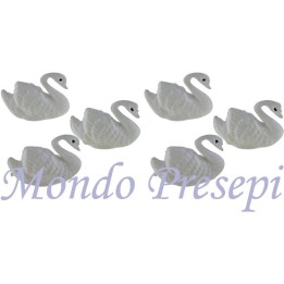 Set 6 cigni cm 2