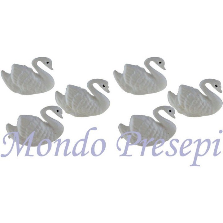 Set 6 cigni cm 2