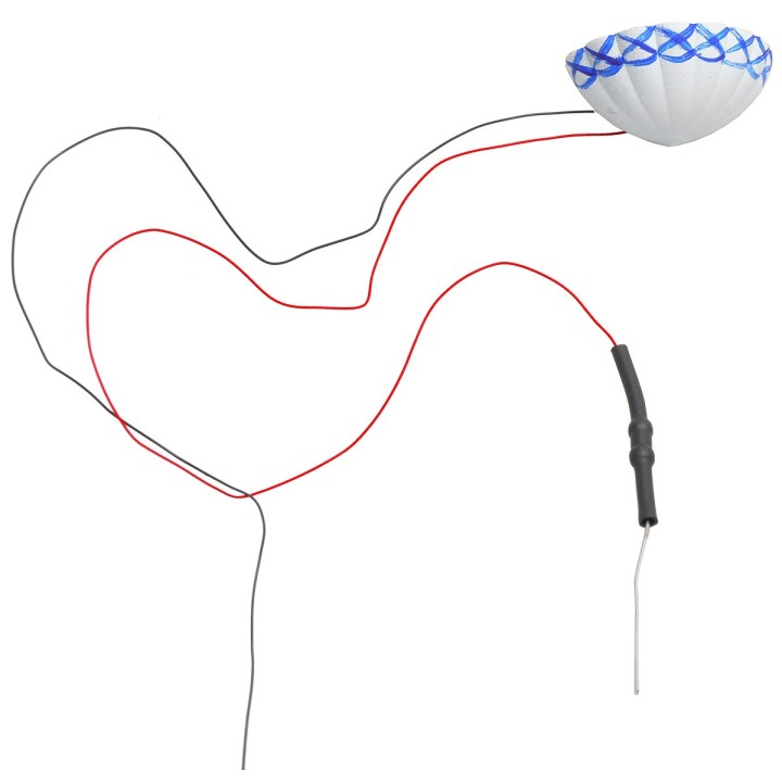 Lámpara de concha de pared 2 cm 12v