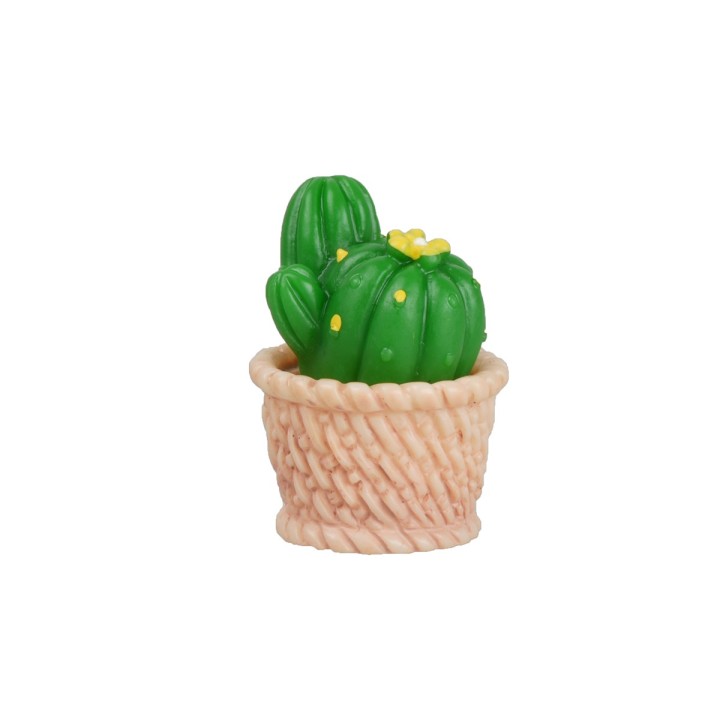 Planta de higo chumbo h 2,6 cm