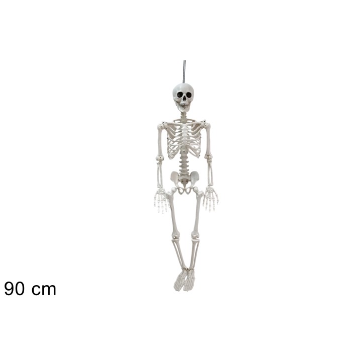 Esqueleto articulado h 90 cm