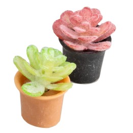 Succulent plant pot in assorted colors cm 2x2.5 h