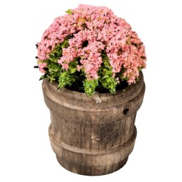 Vaso in legno con fiori assortiti h 6,7 cm