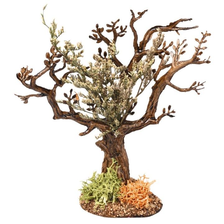 Árbol de olivo h 13 cm