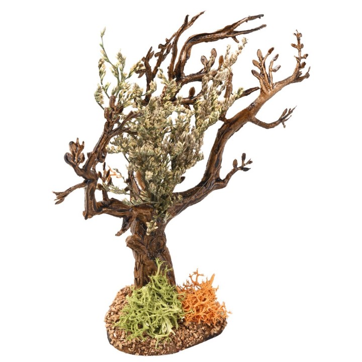 Albero d’ulivo h 13 cm