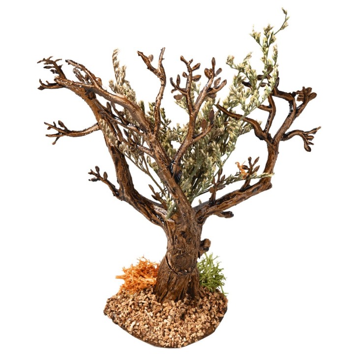 Olive tree h 13 cm