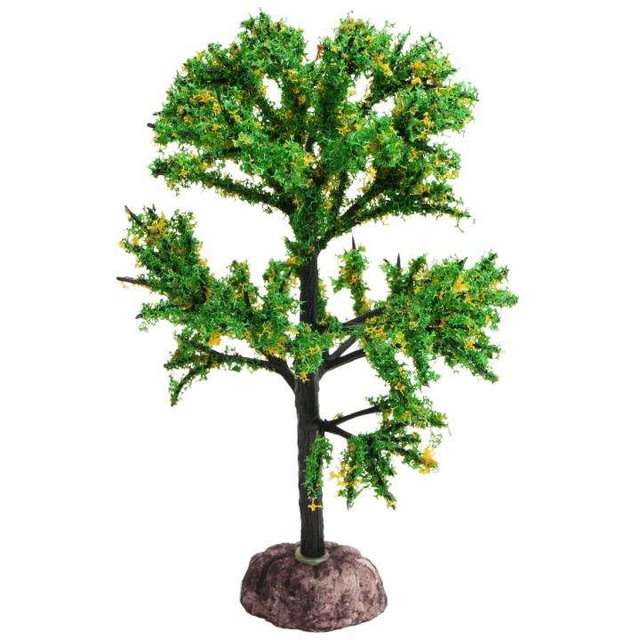 Lemon tree 15 cm