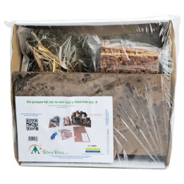 DIY Nativity Scene Kit complete with Nativity and lights cm
