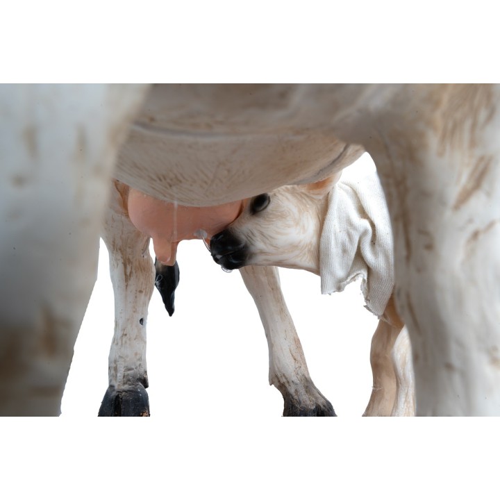 Cow and calf with double movement for 30 cm statues