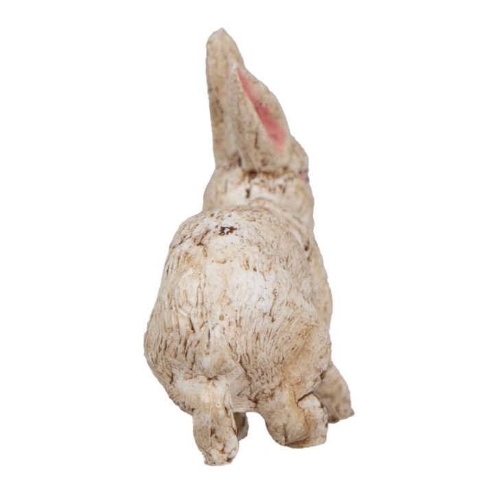 Set of 4 pcs baby rabbits with mother