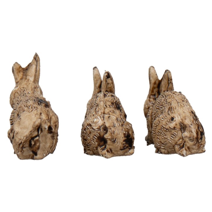 Set of 4 pcs baby rabbits with mother