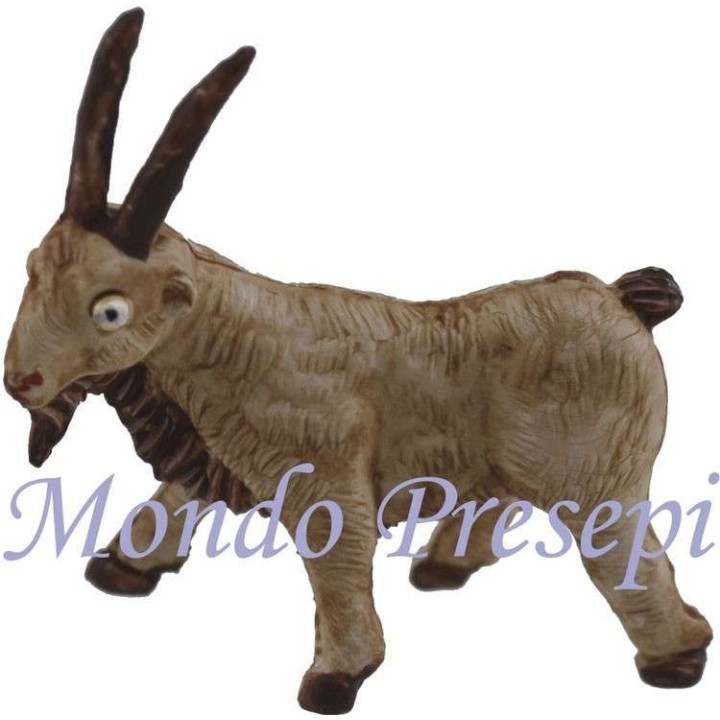 Capra cm 3,5x4 h.
