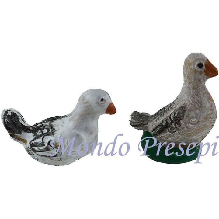 Conjunto de 2 palomas