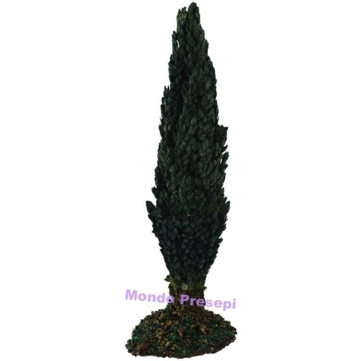 Cypress cm 15 h.