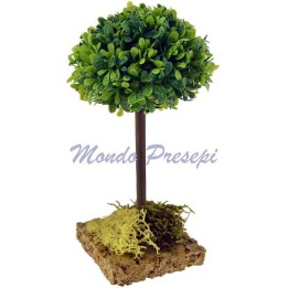 Tree Elm 13 cm-h.