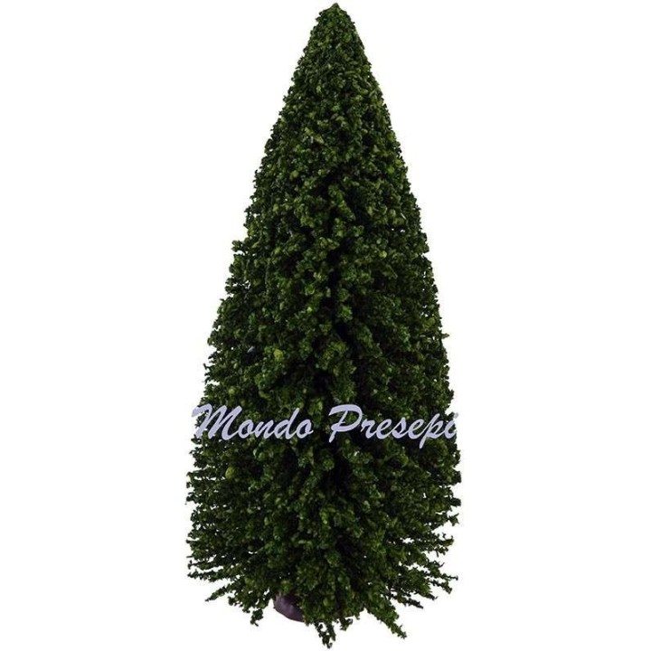 Spruce 19 cm h.