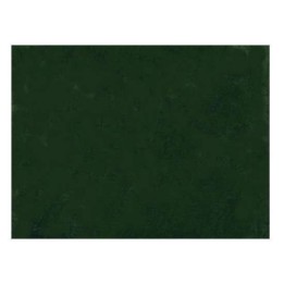Papel aterciopelado tipo hierba Cm 100x70