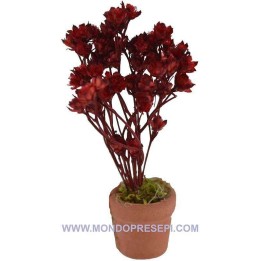 Vaso con flores rojas