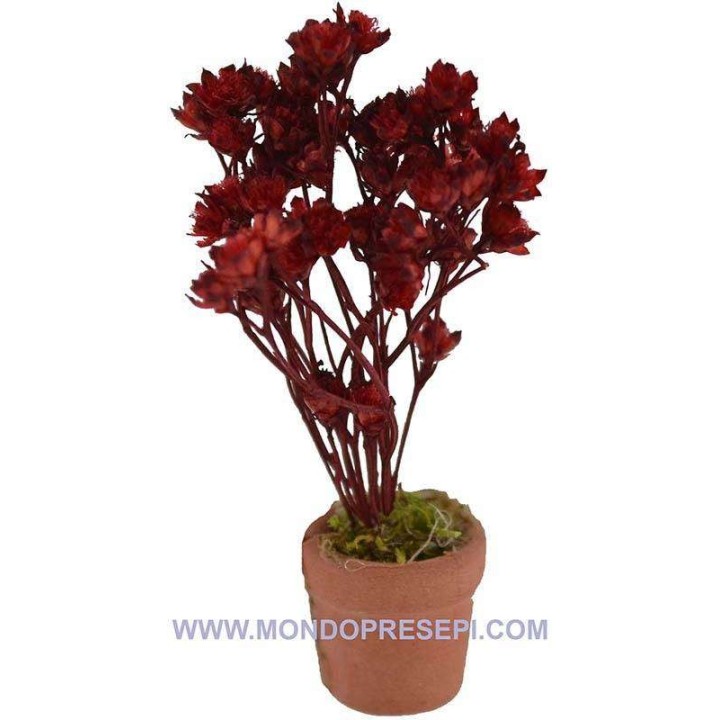 Vaso con flores rojas