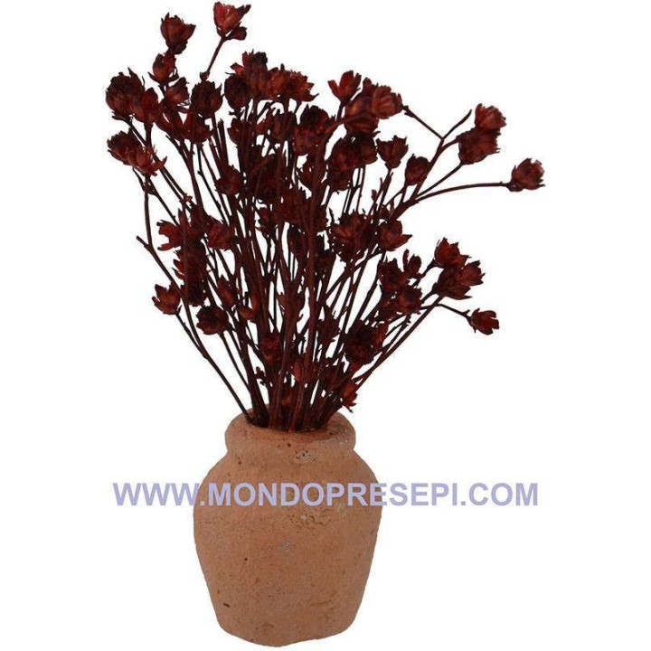 Vaso de terracota con flores burdeos