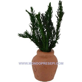 Maceta de terracota con planta