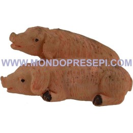 Pigs cm 4,5