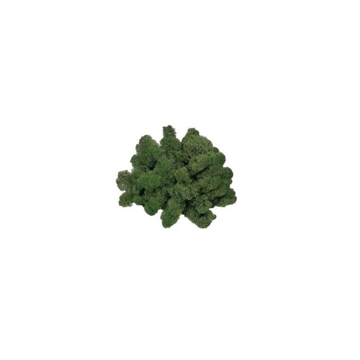 Lichen, moss green 50 g