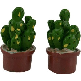 Coloca 2 suculentas de 3 cm